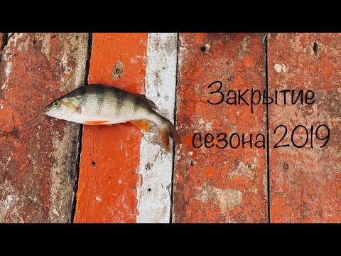 Видео: Микроджиг с Maximus Egoist Z 662UL 1-5 гр