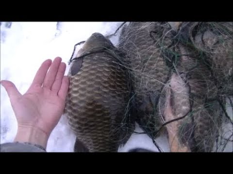 Видео: Проверка сетей по льду.