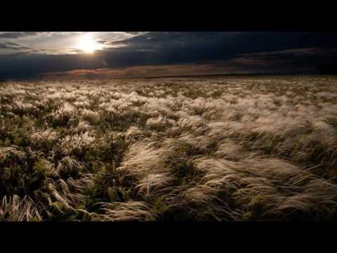 Видео: Сколот (Skolot) - На поле Куликовом (On The Field Of Kulicovo - part III)