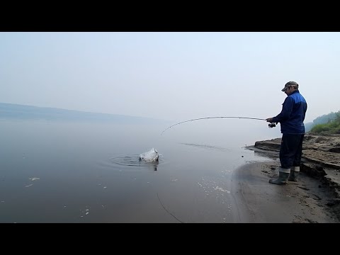 Видео: Рыбалка в дымовой завесе.