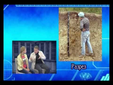 Видео: Знай наших. Василий Докучаев, выпуск 22