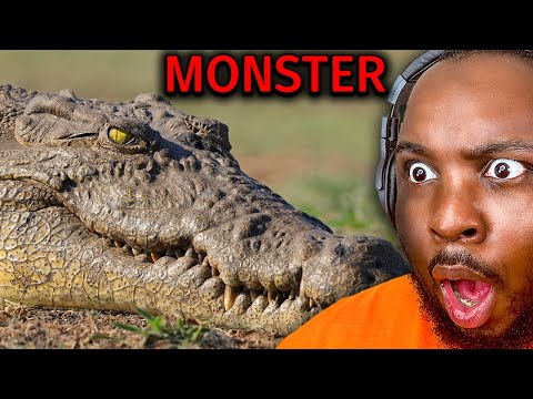 Видео: Самый СТРАШНЫЙ Хищник всех времен!
