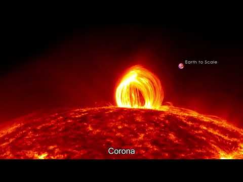 Видео: ЛУЧШЕЕ ИЗ ЛУЧШЕГО из ежедневной дозы Интернета