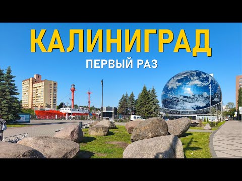 Видео: Первый раз в Калининграде. Посетим зоопарк, музей Океана, остров Канта, Понарт за один день