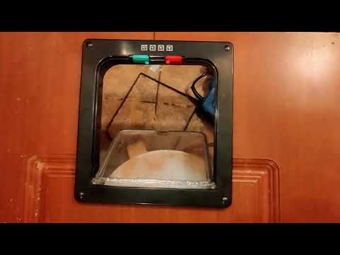 Видео: Вырезаем и ставим готовую пластиковую дверь для кота.