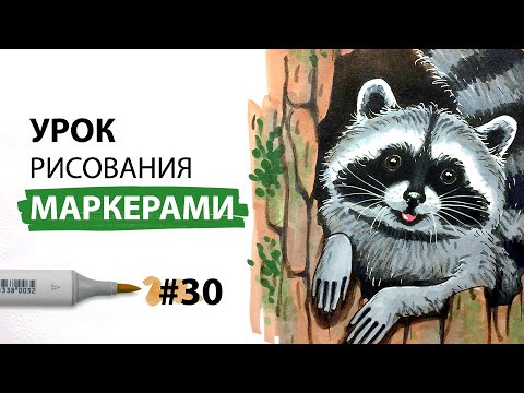 Видео: Как нарисовать енота? / Урок по рисованию маркерами для новичков #30