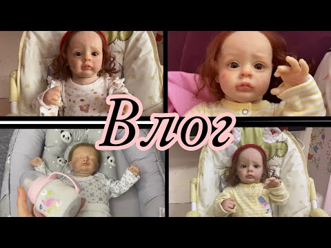 Видео: 26 декабря 2023 г.