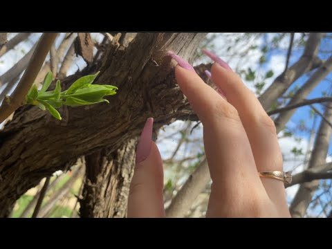 Видео: АСМР/ASMR в деревне,на улице 🏡🪵 триггеры,таппинг,скретчинг