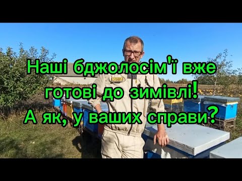 Видео: Бджолосім'ї вже готові до зимівлі.