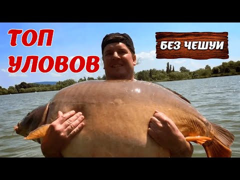 Видео: БЕЗ ЧЕШУИ - Топ уловов. Непобитые рекорды! Тяжеловесы! Самые крупные рыбы!