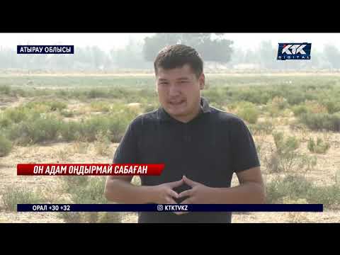 Видео: “Бауырымды өлтірген 6 адам бостандықта тайраңдап жүр!”