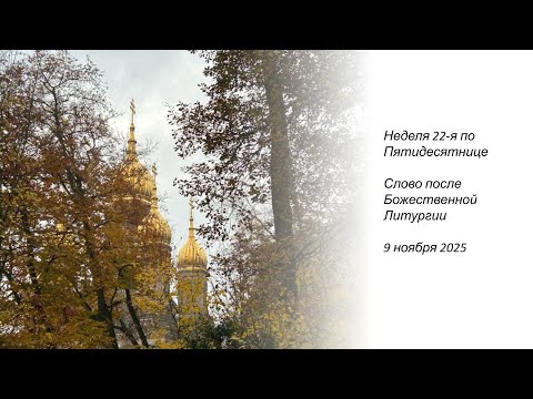 Видео: Неделя 22-я по Пятидесятнице. Слово за Божественной Литургией