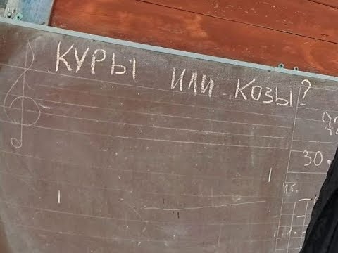 Видео: Выгоднее куры или козы