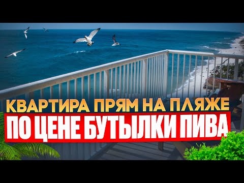Видео: Лучшие квартиры в Сочи на первой береговой!