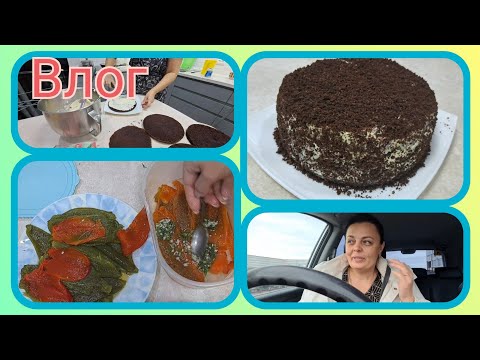 Видео: куда УХОДЯТ БЛОГЕРЫ?🤔захотелось СЛАДКОГО-супер ШОКОЛАДНЫЙ ТОРТ без хлопот