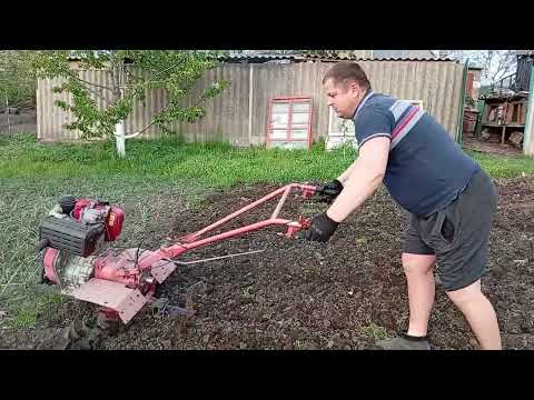 Видео: Культивацыя мотоблок forte135