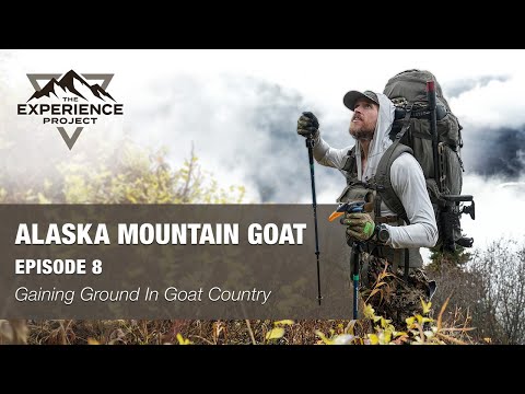 Видео: ОХОТА. Эпизод 8 — «Набирая силу» (Горные козлы на Аляске) — The Experience Project
