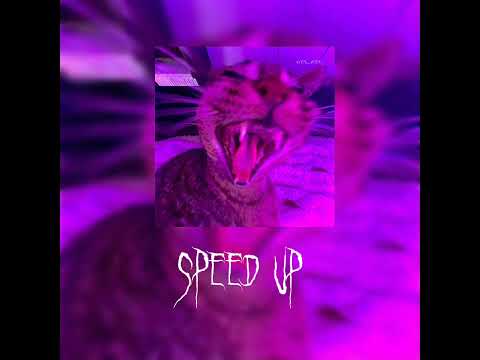 Видео: ¡треки из тт 2023¡ ||speed up||
