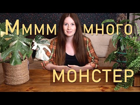 Видео: Ммммного монстер!