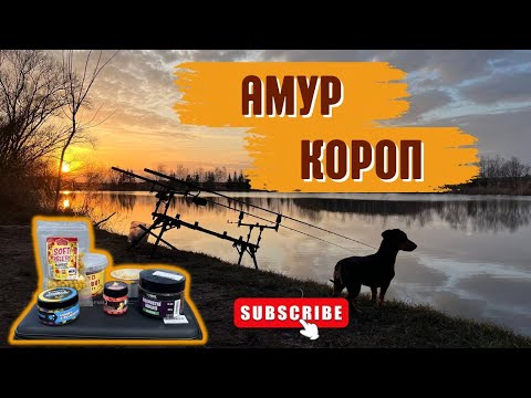 Видео: МАГІЯ ПОП-АПУ: АМУР І КОРОПИ КЛЮЮТЬ ЯК НІКОЛИ!