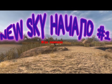 Видео: НАЧАЛО : STALKER NEW SKY #1