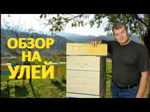 Видео: Обзор на улей Bienenhaus | Сборка улья ППУ  | Распаковка улья |Пчеловодство 2023