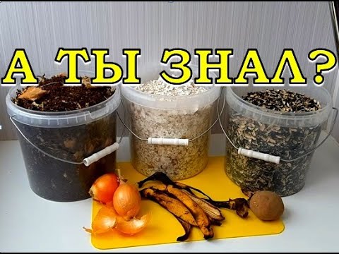 Видео: КАК и КАКИЕ пищевые ОТХОДЫ я собираю зимой📌📌📌