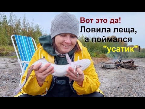 Видео: Хотела поймать леща, а поймала налима.  Подъем воды и бесклевье -  а у меня клевая рыбалка!
