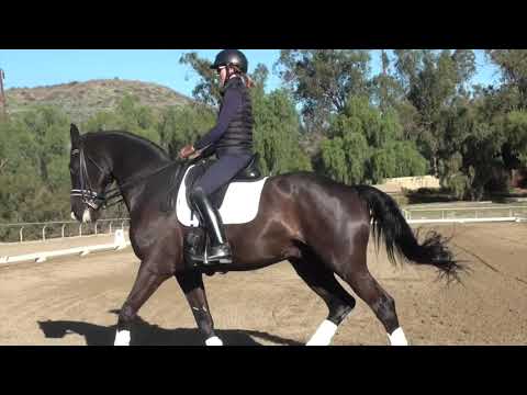 Видео: Как ехать плечом к Ренверсу