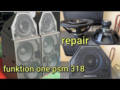 Видео: Ремонт акустики динаміків Funktion one psm 318 Spider repair replacement
