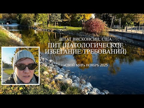 Видео: ПИТ, или патологическое избегание требований. 