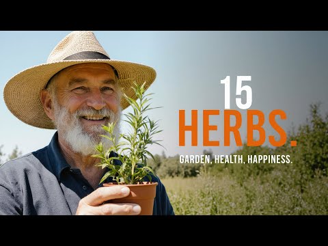 Видео: 15 ПРОСТЫХ ЛЕЧЕБНЫХ ТРАВ для трудных времен