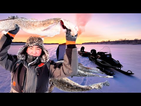 Видео: ЗА НАЛИМОМ НА НОВЫЙ ГОД!!! ПЕРЕМЁТ НА НАЛИМА ЗИМНЯЯ РЫБАЛКА УХОДЯЩЕГО ГОДА