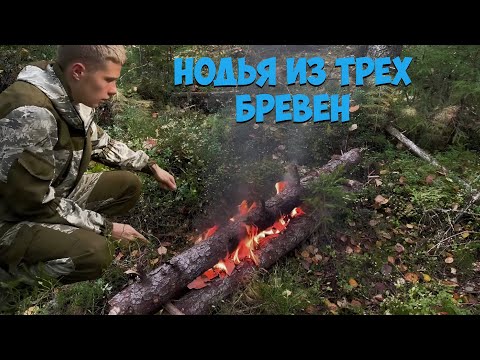 Видео: ПОХОД В ТАЙГУ. Сделал Костер НОДЬЯ из Трех Бревен. Готовим еду на костре. КЕМПИНГ