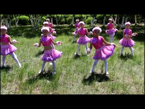 Видео: ОХА "АЯЛА" Ансамль, танец "Кошка беспородная" 2021
