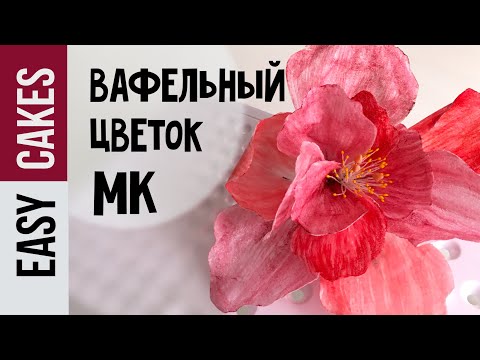 Видео: КАК СДЕЛАТЬ ВАФЕЛЬНЫЕ ЦВЕТЫ ДЛЯ ТОРТА МК для начинающих