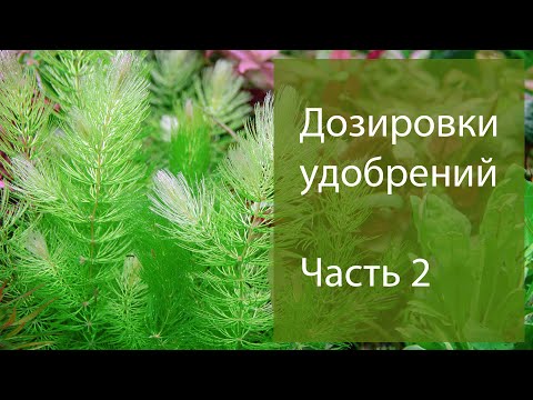 Видео: Дозировка удобрений в растительный аквариум.