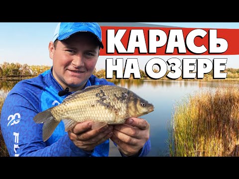 Видео: Ловля КАРАСЯ на ФИДЕР! Тактический фидер на ОЗЕРЕ!