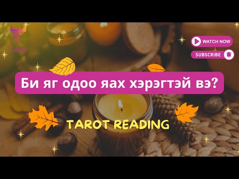 Видео: 💫🕊️Би яг одоо яах хэрэгтэй вэ? | Тарот уншлага