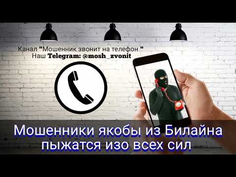 Видео: Мошенники якобы из Билайна пыжатся изо всех сил