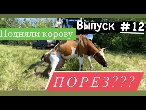 Видео: после родовой порез летом????