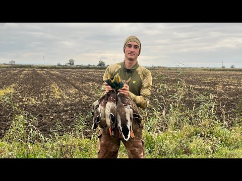 Видео: ТРЁХ СЕЛЕЗНЕЙ ОДНИМ ВЫСТРЕЛОМ.ОООЧЕНЬ ЖАРКАЯ ОХОТА НА УТКУ.#hunting #охотаназайца #охотанаутку#охота