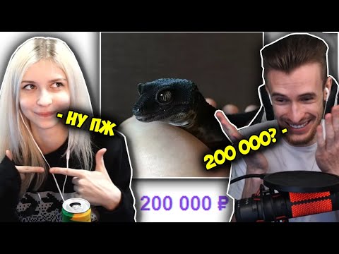 Видео: МАРИНА попросила ЗАКВИЕЛЯ купить ЯЩЕРКУ ЗА 200 000 РУБЛЕЙ! - Заквиель Выбирает Питомца Марине!