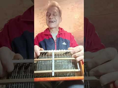 Видео: Разговор о ремонте и особенностях баянчика "РУСЛАН"