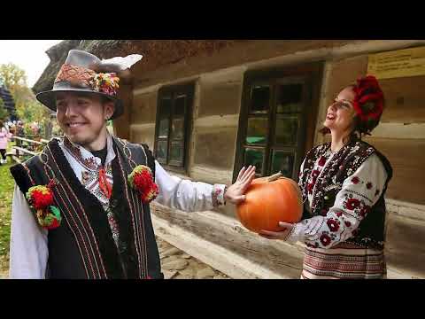 Видео: Фильм №477  - Тыква в Хабаровске