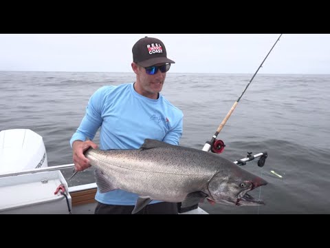 Видео: Дом Агилар Бамфилд