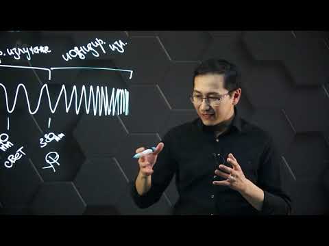 Видео: Особенности воздействия электромагнитных и звуковых волн на организм человека. 11 класс.