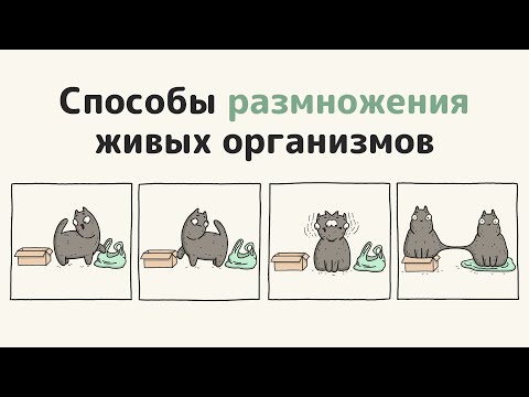 Видео: Способы размножения