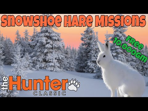 Видео: The Hunter Classic Snowshoe Hare Missions!выполняем миссий на зайца! Как получить 10.000gmS free gm$
