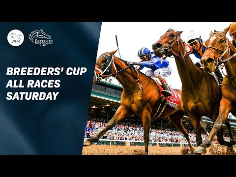 Видео: Кубок заводчиков, который стоит посетить! | Flightline и Cody's Wish — звезда Keeneland | Суббота...